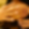 [perfectgonzo.com / milfthing.com] Meriva aka Esmeralda [1080p] (20.11.2007) thumbnail