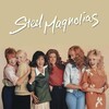 Steel Magnolias 1989 1080p BluRay Hybrid REMUX AVC Atmos-TRiToN thumb