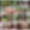 [VivThomas.com] Amirah Adara and Veronica Leal - Open Love [24.05.02] (1080p HEVC x265) thumb