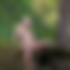 [EroticBeauty.com] 2016-04-24 Lilly A - With the Trees [Erotic Photos] [3413x5120, 64 Photos] thumb