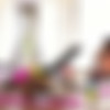 [FakeHub.com] Isabella Chrystin & Sade Rose - Booty Sweat (720p) thumbnail