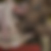 [puzzyfun.com] Dörtje (Teeny Dörtje from Holland loves to be fucked properly) [2020-08-25, Fucking, Orgy, Teen] [720p] thumbnail