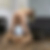 [VIPissy.com] Erika(aka Erika Eden), Marina(aka Marina Gold) - Totally Soaked( ) [2023-04-25, Lesbian, Blonde, Redhead, Piss Play, Piss Spitting, Pissing in Mouth, Close Up, Masturbation, Belarusian Girl, 1080p, SiteRip] thumb