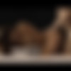 [SexArt.com] Tina Tiny & Lutro - Seduction [2021.05.05, All Sex, Barefoot, Bedroom, Fingering, Creampie, Panties, Blowjob, Breasts, Brunette, Handjob, Striptease, 720p] thumb