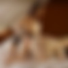 [UltraFilms.com] Hayli Sanders & Lea Guerlin - Sapphic Passion [2024, Girl/Girl, Lesbian, Brunette, Hairy Pussy, Kissing, Lingerie, Masturbation, Pussy Licking, Shaved Pussy, Stockings, 60FPS, 1080p, SiteRip] thumb