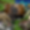 [RPGM] The Mercenary's Adventure [Windows/PC] thumb