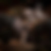 Dark Fantasy (Heracles 3DX) [2024, 3DCG, Animated, Oral Sex, Vaginal sex, Creampie, WEBRip] [2160p] thumb