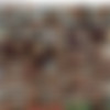 Girls In White 2012 Vol 03 thumb