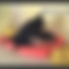 www.modelbondage.com :: 34 Videos thumb