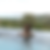 [Watch4Beauty.com][03.10.20] Putri Cinta - Exotic Pleasures - XXX [MP4][1080p] - IMNoob thumb