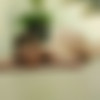 [SneakySex.com] Kyler Quinn | Thin Walls Thick Cock [1080p] thumbnail