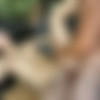 [BangBus.com/BangBros.com] Siterip 2009 - May 2013 720p thumbnail