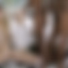 [Blacked.com] Elsa Jean, Rachel James, Sydney Cole – Preppy Girl Threesome Get Three BBCs [1080p, H.265/HEVC, 10bit] thumb
